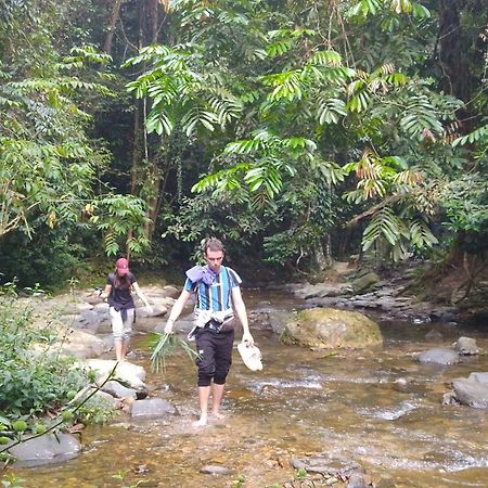 Pongo Guest House & Jungle Trekking Букит Лаванг Екстериор снимка