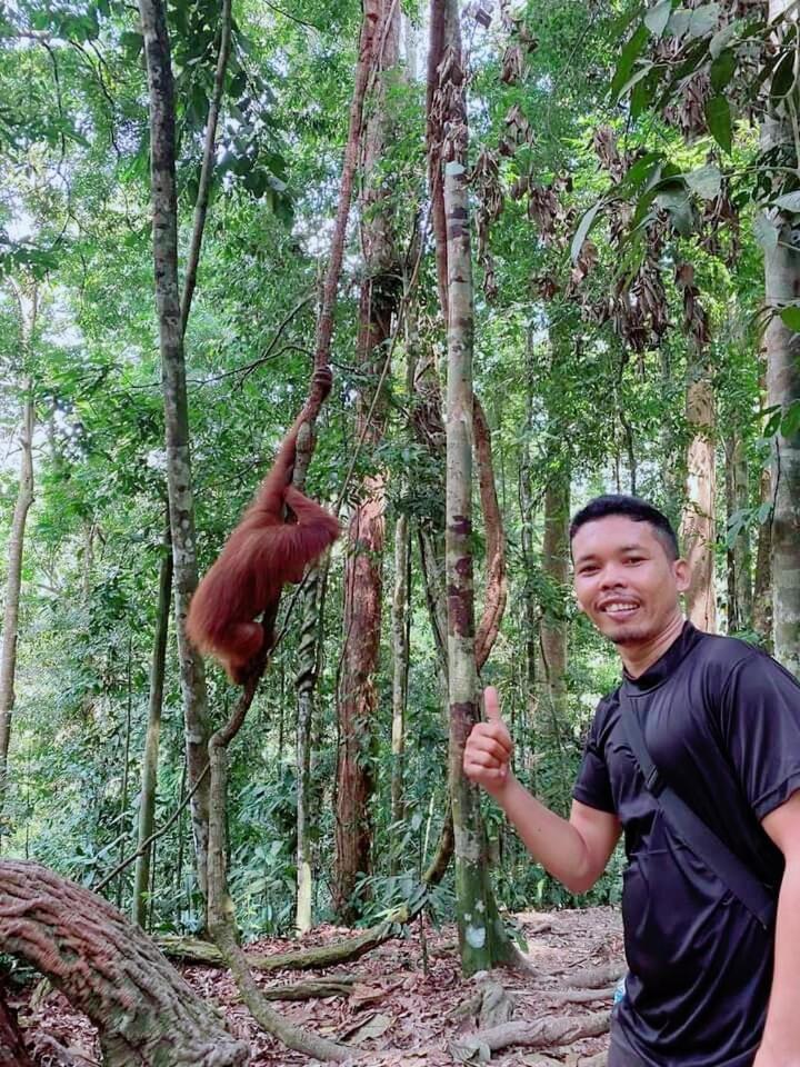 Pongo Guest House & Jungle Trekking Букит Лаванг Екстериор снимка