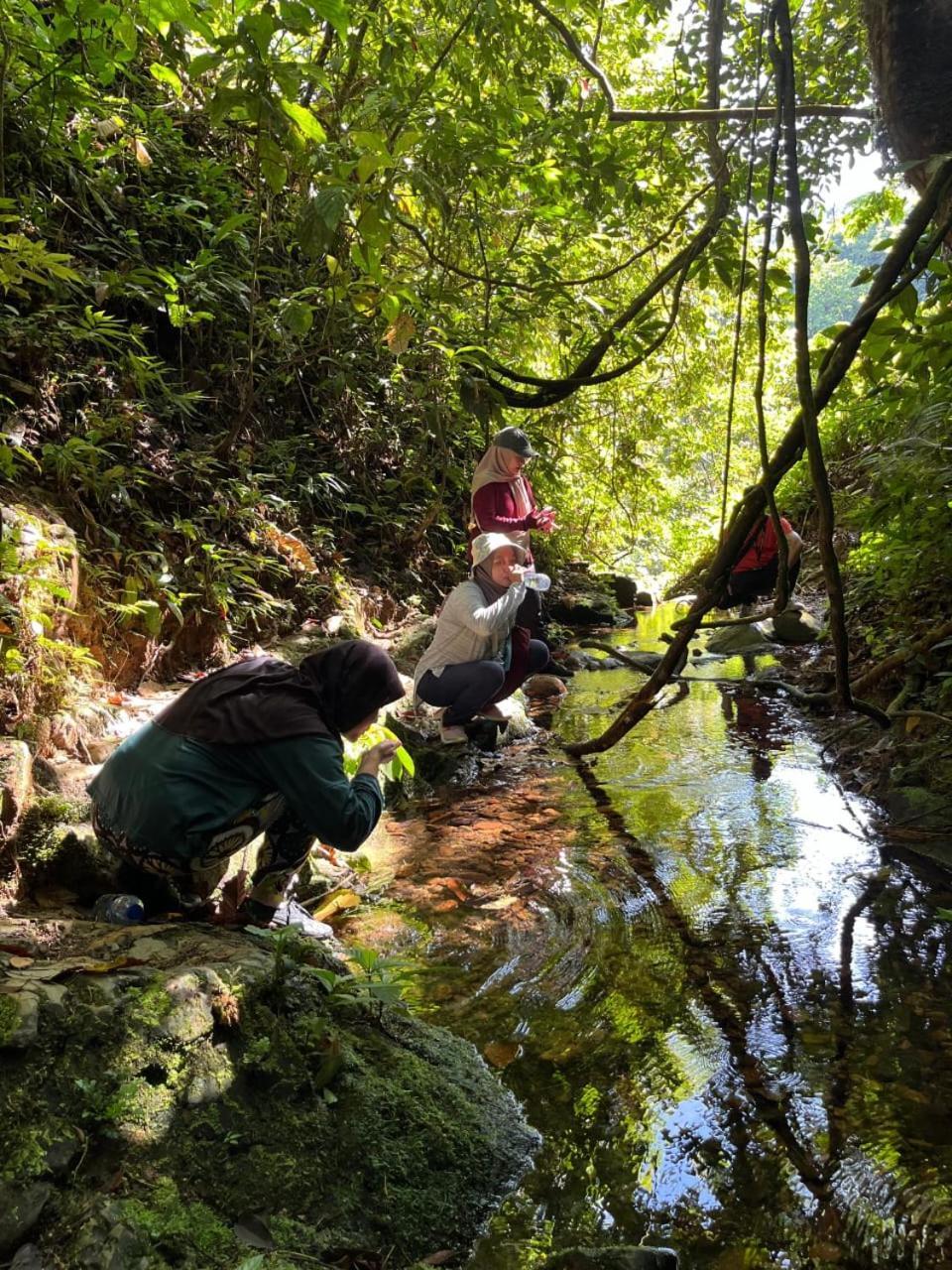 Pongo Guest House & Jungle Trekking Букит Лаванг Екстериор снимка
