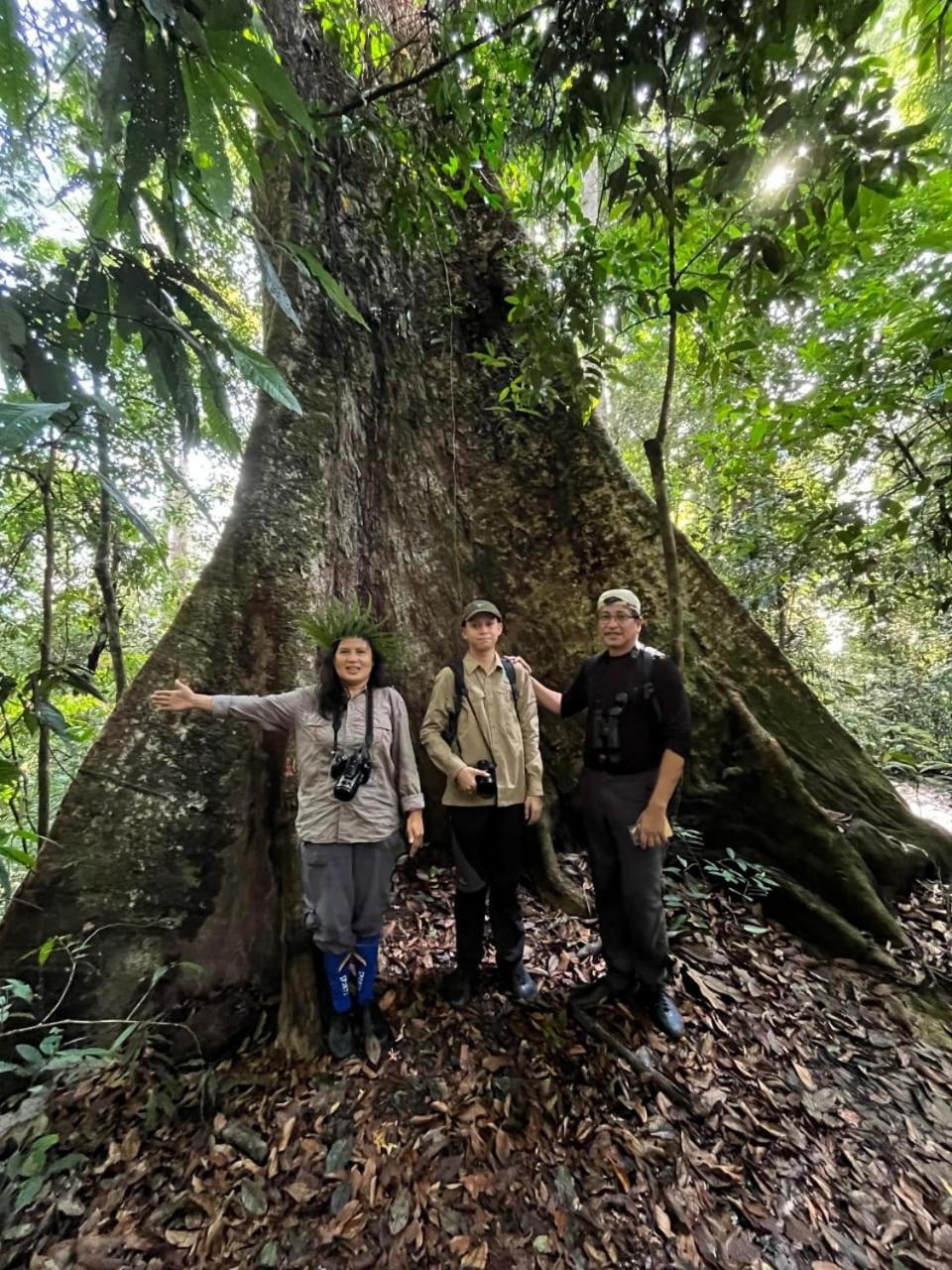 Pongo Guest House & Jungle Trekking Букит Лаванг Екстериор снимка