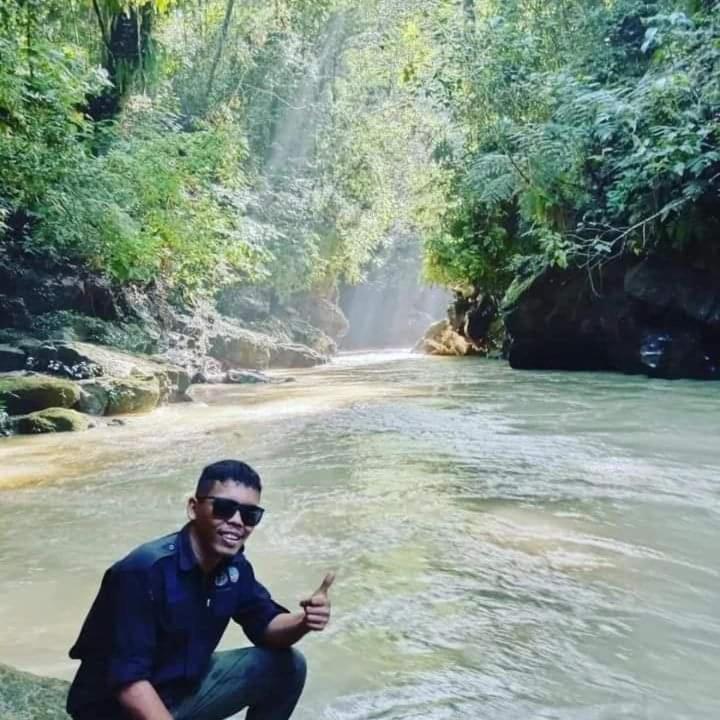 Pongo Guest House & Jungle Trekking Букит Лаванг Екстериор снимка