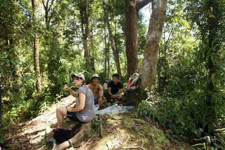 Pongo Guest House & Jungle Trekking Букит Лаванг Екстериор снимка