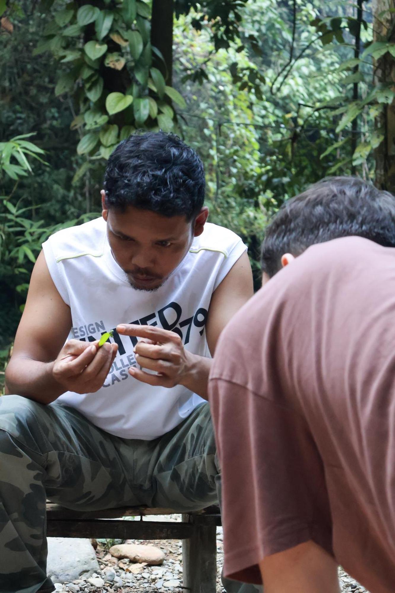 Pongo Guest House & Jungle Trekking Букит Лаванг Екстериор снимка